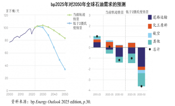 从bp到IEA再到比尔∙盖兹，变调的2025