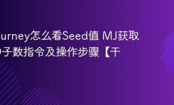 Midjourney怎么看Seed值 MJ获取图片种子数指令及操作步骤【干货】