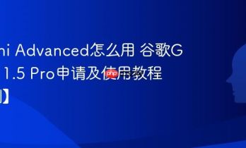 Gemini Advanced怎么用 谷歌Gemini 1.5 Pro申请及使用教程【评测】