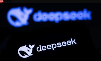 DeepSeek命令行工具使用方法 DeepSeek高效开发环境配置