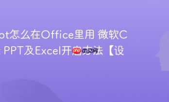 Copilot怎么在Office里用 微软Copilot PPT及Excel开启方法【设置】