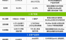 拆解招股书，看懂中国大模型独角兽的两种“活法”