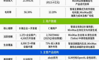 拆解招股书，看懂中国大模型独角兽的两种“活法”