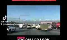 AI猫语翻译器：宠物沟通新纪元，玩笑还是未来？