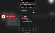 HBL Mobile App：便捷下载账户对账单指南