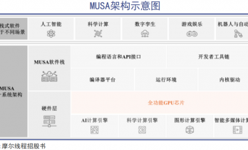 聚灯光外的英伟达中国门徒