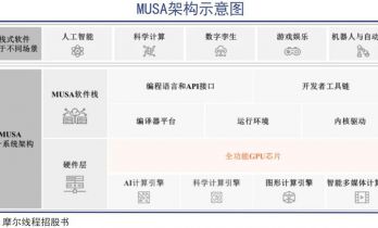 聚灯光外的英伟达中国门徒