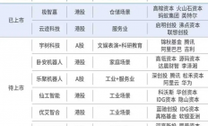 具身智能狂奔一年：机器人依然不会干活，但不妨碍机器人公司上市