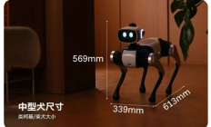 全球首款无需遥控的智能机器狗，维他动力“大头 BoBo”将开启公测
