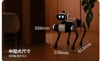 全球首款无需遥控的智能机器狗，维他动力“大头 BoBo”将开启公测