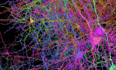 Nature周刊2026年度值得关注技术榜单