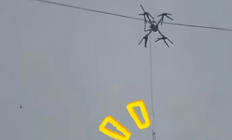 高科技接地气，无人机飞猪，机械狗拉货