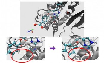 AI蛋白质设计里程碑 MoleculeOS达工业可用水平 分子模拟运行效率提升千亿倍
