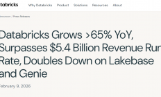 AI数据平台Databricks完成50亿美元融资 估值升至1340亿美元